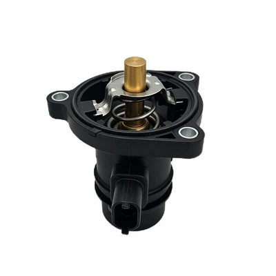 55561629 is suitable Thermostat