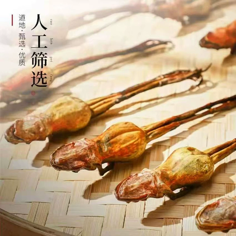 «Норт-Ист Чангбай Маунтин» сильно specialized toad dried forest frog dried forest frog oil snow clam large oil bulk wholesale food health gift box