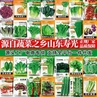 �L���ļ��߲˷N�Ӵ�ȫ�m���ﶬ�����N���s������Ϲ��N�ݰ��]���l