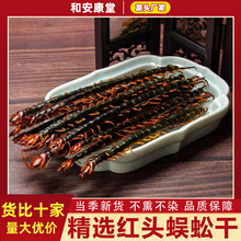 蜈蚣干中药材红头正宗吴公虫大蜈蚣干精选湖北蜈蚣干14-17CM泡酒