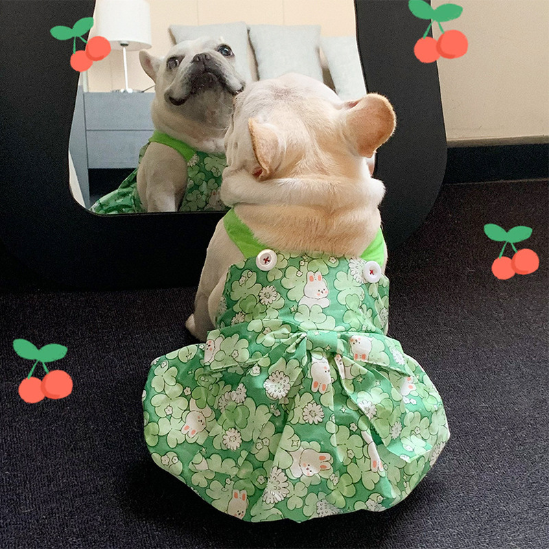 Spring and Summer Dress Little Rabbit Green Cotton Pet Cat and Dog Clothes Teddy Fadou Schnery Corgi Cute Pet Clothing Spring and Summer Dress Little Rabbit Green Cotton Pet Cat and Dog Clothes Teddy Fadou Schnery Corgi Cute Pet Clothing