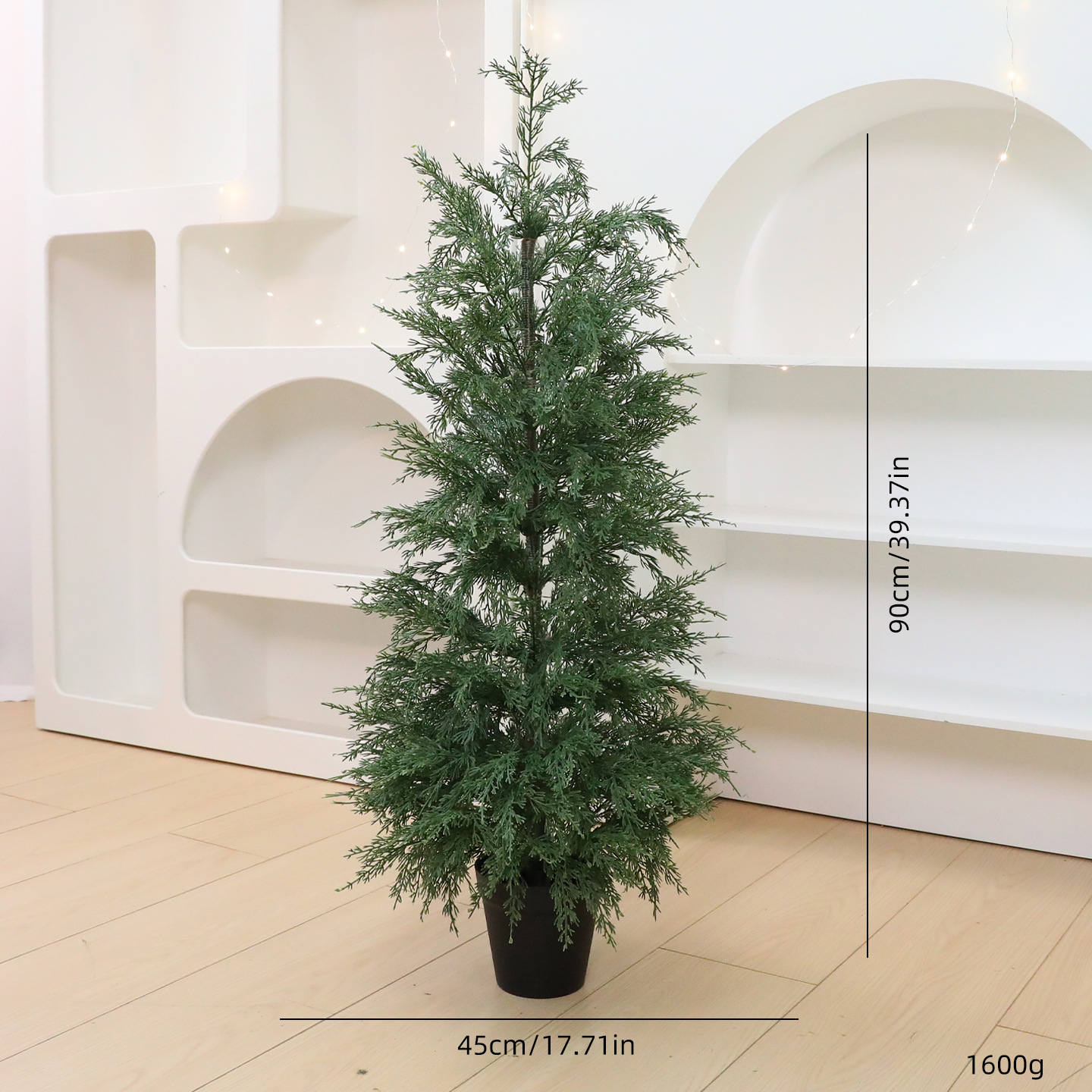 90 cm Ciprese