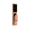 Titanium alloy-A16RF-golden color