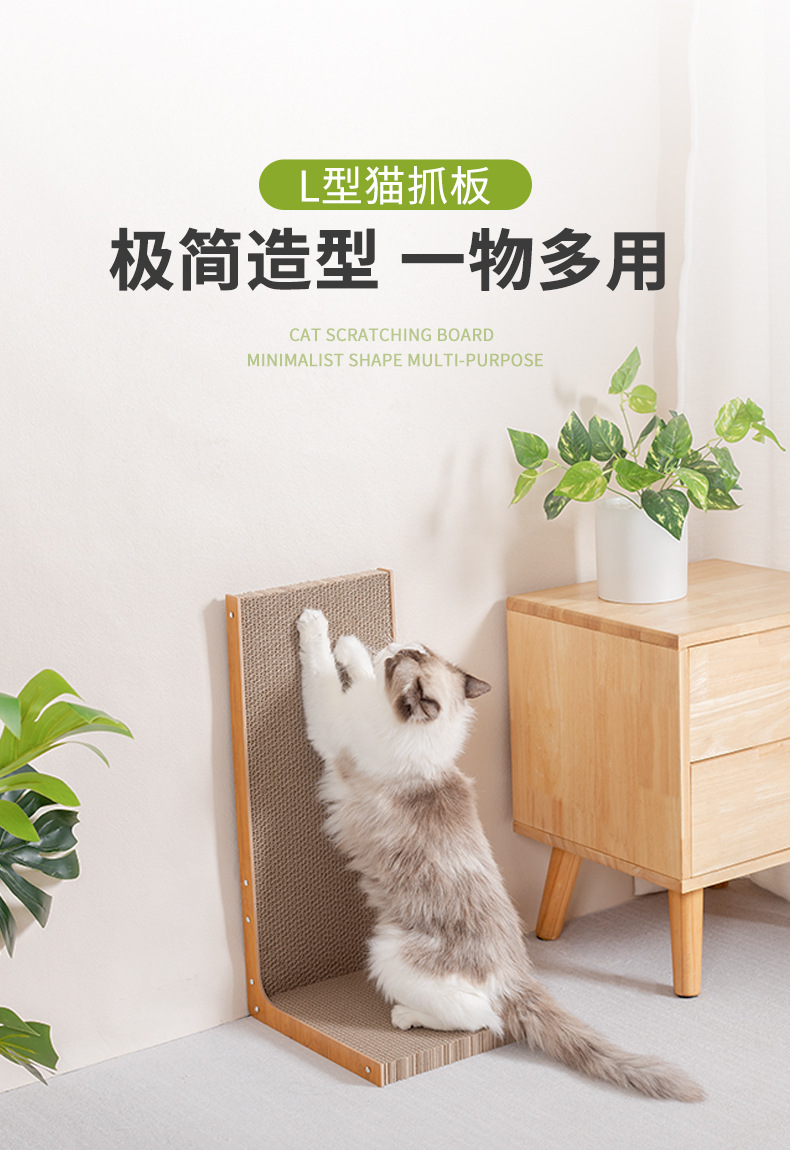 详情_01.jpg