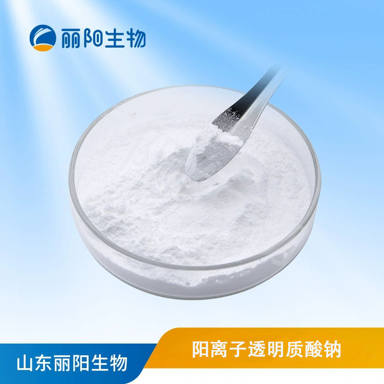 厂家直供 化妆品级 透明质酸钠/透明质酸/玻尿酸  阳离子透明质酸