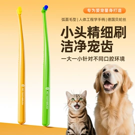 牙刷;牙膏;舌苔清洁器