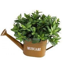 �_�h�ݾGֲ5����N�~�����~ֲ�����ins�G�~�Gɫϵ���滨