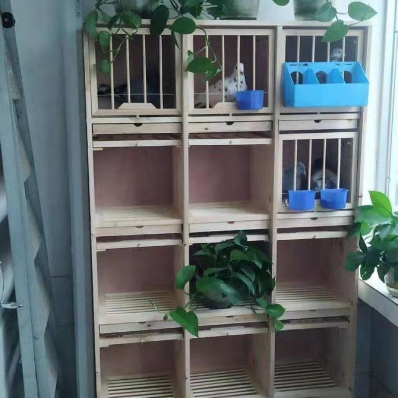 鳩組み合わせ鳩の巣箱競技鳩ケージ木製器具大型マッチングケージ無垢材種鳩調整|undefined
