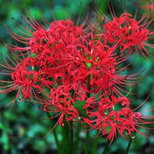 ʯ��˰����N������ɳ�A�N�Ӽt���Q�\ʯ��N�������̨ͥԺѿʯ��