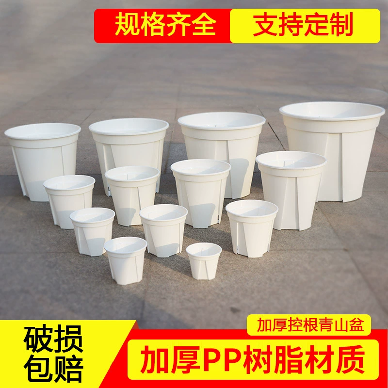 Крыло зеленый утолщенный белый зеленый горный бассейн Раковина оптовая продажа с фабрики Роза зеленая редька пластиковый цветочный горшок галлон круглый