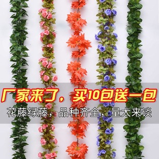 �ٗl�b������~�ٻ��G�~�����ܵ��ړ��������ֲ�ﻨ�p�@����