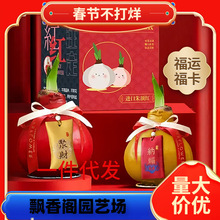 ���m�M�� ��피t�N����ذ�����_������ȳ����P���l�y������z