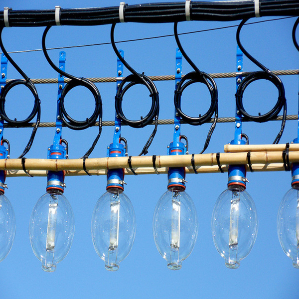 Manufacturer wholesale set fish lamp