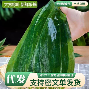 ���r�Fժ��̖���~���繝�����ӌ��ø����~�ش�̖Դ�^ֱ�lһ�����l