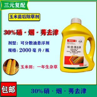 �rș���׳��݄�30%��&middot;��&middot;ݬȥ��2000����/ƿ���׻�¡���ǲ�ͪ