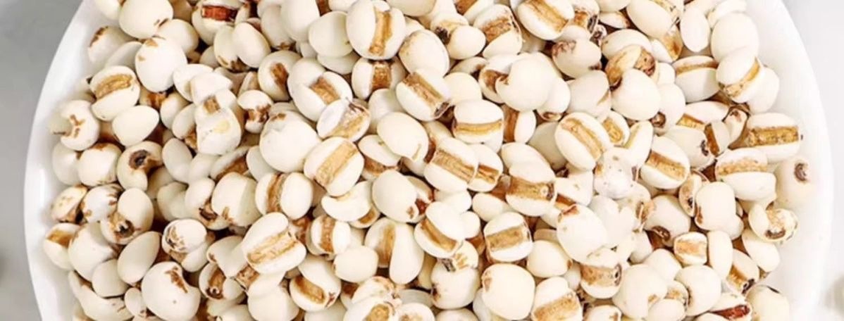 Stir-Fried Coix Seed Yi Yi Ren 500g Roasted Job's Tears for Tea Soup and Congee specifications