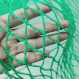 �o�Y��ȫ�W�WУ�w������������؇��W�o�Y���WPE