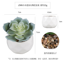 仿真小水莲铺石菱形陶瓷迷你多肉盆栽 桌面摆件仿真植物人造盆景