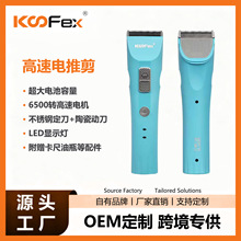 KooFex�羳���l����늌��I���l���^���������l�ꌣ�ô�����Ƽ�