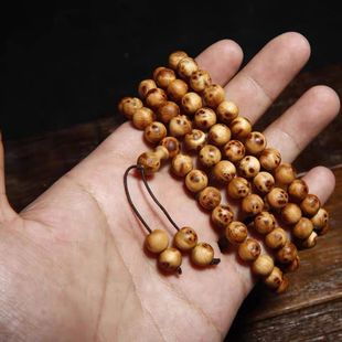 ̫���°��ִ�2.0���M����ꐻ���108�w���ȸ�۷������������Ů��