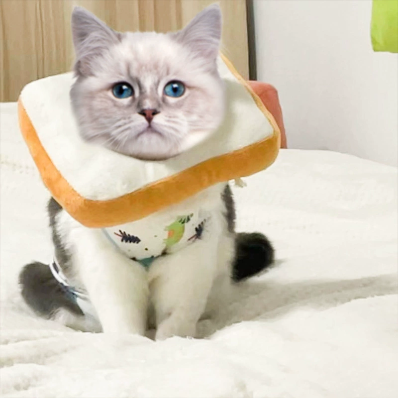 Тост Хлеб Домашнее животное Кошка Собака Элизабет Кольцо Мягкий головной убор Ошейник с защитой от укусов Регулируемые товары для домашних животных