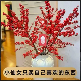 盆栽;花盆容器;盆景