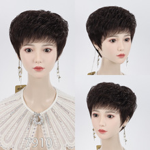 wٰlŮȫ^˰lzꋌrж̾lٰl