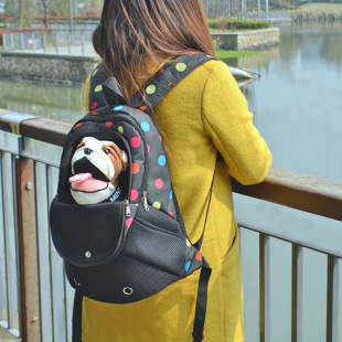 Concealed Dog Outing Bag, Bus Travel Cat Outing Bag, Breathable Dog Bag, Portable Pet Backpack