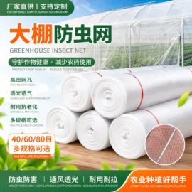 防虫网;其他塑料网;窗纱