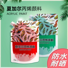 夏加尔1L袋装丙烯颜料防水手绘墙绘涂鸦石膏娃娃画室专用丙烯颜料