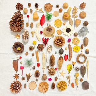 ����ɚ��ɹ����ɹ��}�Q����҃Ȕ[�diy����ֲ��˱��׃��@