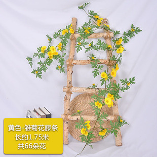 �������տ������r�ռٻ��ٗl�r�տ��{�ܵ��p�@�����Ҿ����羳����