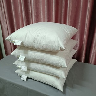Factory Direct Supply Wholesale Household Export Hotel B&B down Pillow Core Pillow Core White Duck Feather Cushion