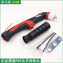 P80100A80͵xиֳ֘^¿LGK-100