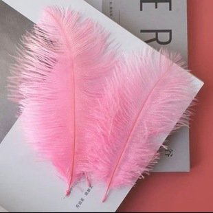 Floriculture Accessories Ostrich Hair