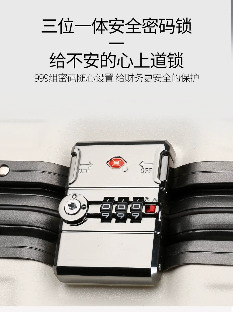 Suitcase, bag accessory