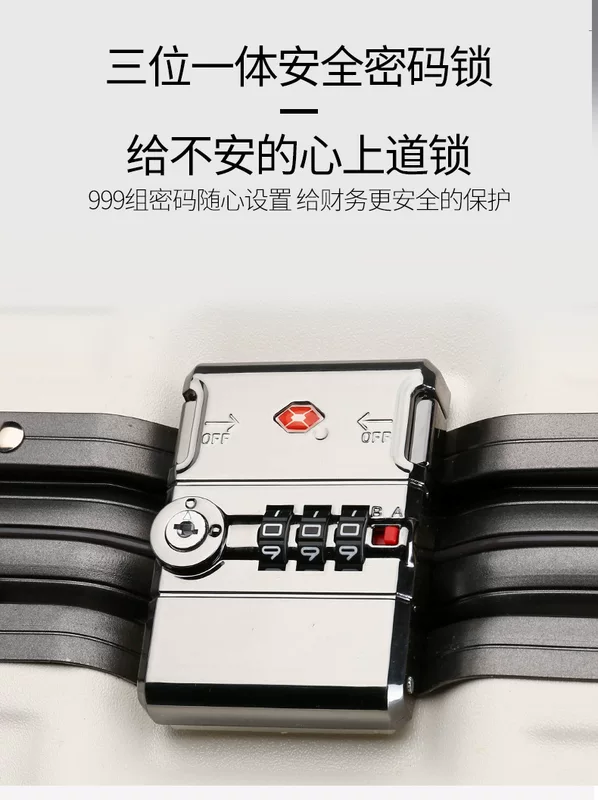 Suitcase, bag accessory