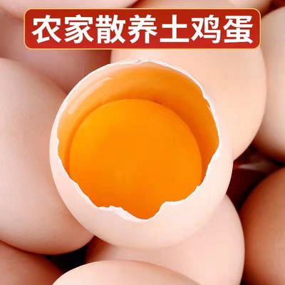 fresh Farm Backyard free range eggs wholesale Farm Grain egg Full container One piece On behalf of