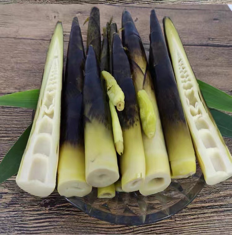 微信图片_202202241258004