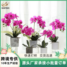 �Ҿ�װ�η���������辰  �ٻ�������������� ��������ֲ������