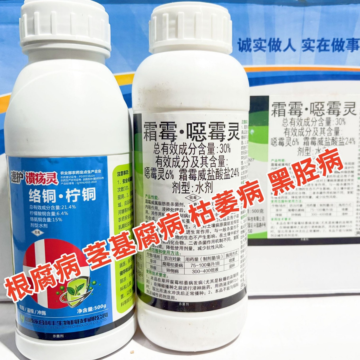 霜霉恶霉灵柠铜络氨铜西瓜根腐病烂根死苗白腐枯萎茎基腐病杀菌剂