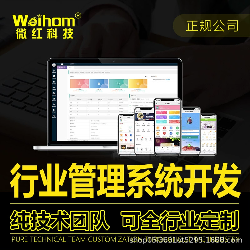 Система управления предприятием (ERP): управление закупками, продажами, складскими запасами, CRM, управление клиентами, офисная система (OA), производственная система (MES), разработка программного обеспечения, интеллектуализация.