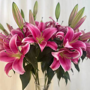 ��ˮ�ٺϻ��r���������ֱ�l����ֱ���r�л�ˮ�B�廨�������fͬ��