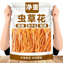 【净重】虫草花干货农家新货孢子头虫草炖鸡鸭煲汤批发农家特