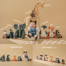 动物园主题百天照摄影道具衣服婴儿宝宝百日照周岁照儿童摄影服装