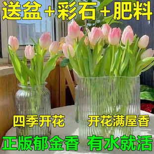 һ�����l���ļ��_������ɫ��ˮ��ˮ�B�������Ի���ֲ��͏d�Gֲ��