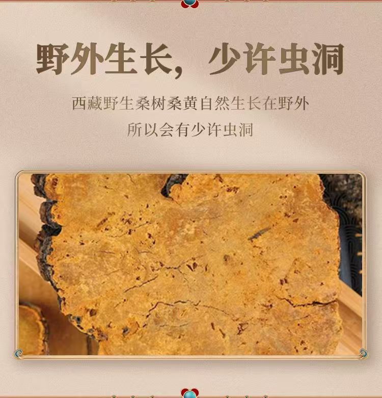 Sang Huang Mulberry Yellow Fungus Sliced 100g Bag Traditional Herbal Wellness for Middle Aged and Older Adults specifications