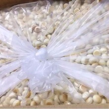 ����ɢ�QС�z�^����2500gͯ���c�����ʳ���m�u������l�S��