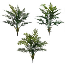 SֱNGֲٻܛz˹~ާֲӼbپGֲ쾰