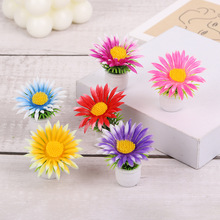 ΢���^����Gֲ�������l ̫ꖻ����������b[���k��׿�����辰